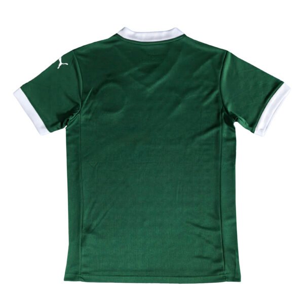 N4032 25/26 Palmeiras Home Soccer Jersey