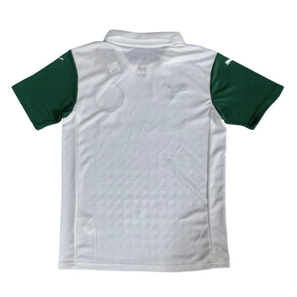 N4032 25/26 Palmeiras Away Soccer Jersey