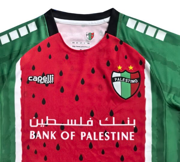 N4032 25/26 Palestino Third Soccer Jersey
