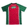 N4032 25/26 Palestino Third Soccer Jersey