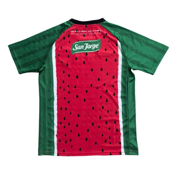 N4032 25/26 Palestino Third Soccer Jersey
