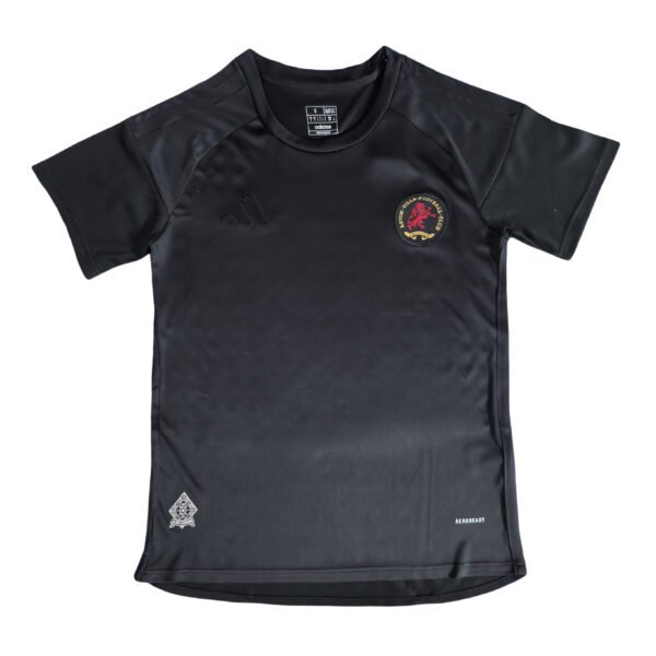 XK1733 (77) 25/26 Aston Villa 150th Anniversary Edition jersey