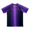 mmexport1756280695249 25/26 PSG Traning Soccer Jersey