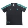 Pisa 25/26 home soccer jersey with Adidas design and team logos.