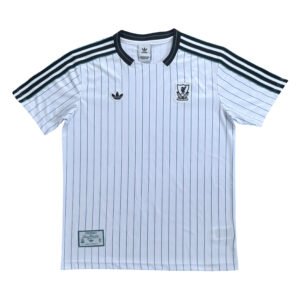 Pisa 25/26 home soccer jersey with pinstripes and team logos.
