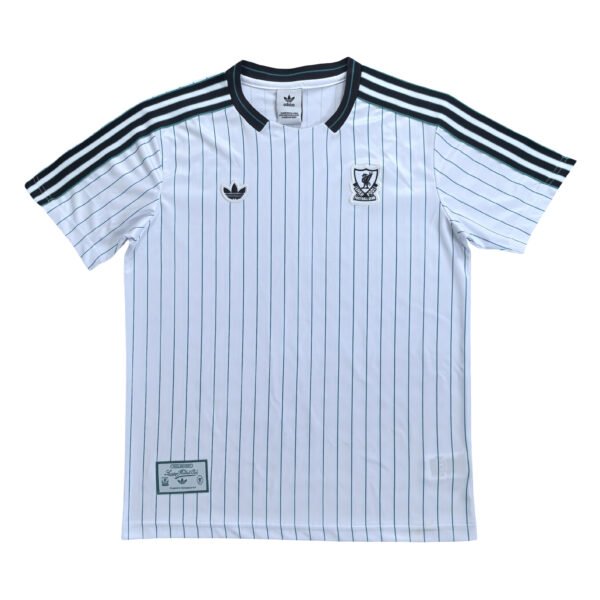 Pisa 25/26 home soccer jersey with pinstripes and team logos.