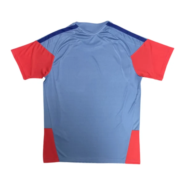 11274c (173) 2026 Japan Traning Jersey