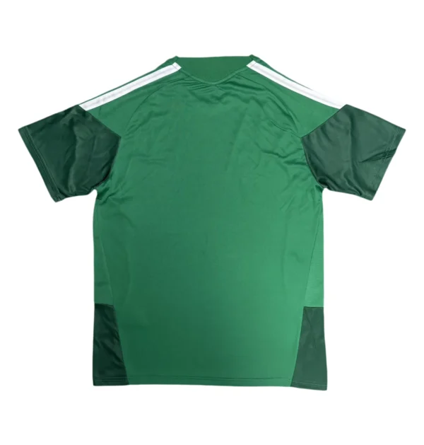 2026 Mexico Traning Jersey