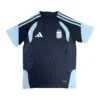 11274c (176) 2026 Argentina Traning Jersey