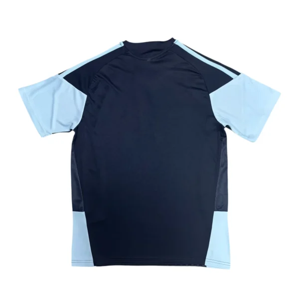 11274c (177) 2026 Argentina Traning Jersey