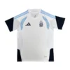 11274c (178) 2026 Argentina Traning Jersey