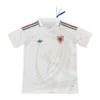 2026 Wales Away Jersey