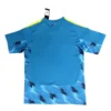 11274c (237) 2026 Spain Goalkeeper Jersey