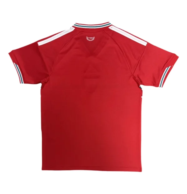 11274c (241) 2026 Wales Home Jersey