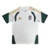 11274c (87) 2026 Italy Traning Jersey