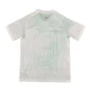 3257c (91)_1779955574513 2026 Qatar Away Jersey