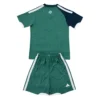 65693AA (24)_1777969711849 2026 World Cup Northern Ireland Home Set