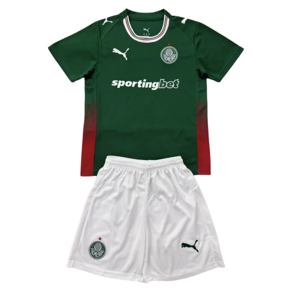 65693AA (27) 26/27 Palmeiras Home Set