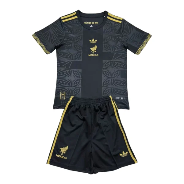 65693a (120) 2025 Mexico Gold Cup Black Home Set