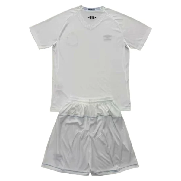 65693a (173) 25/26 Santos Home Set