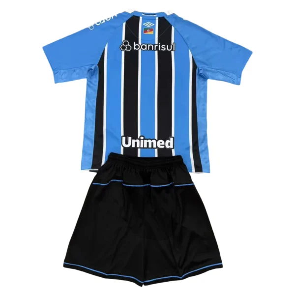 65693a (181) 25/26 Gremio Home Set