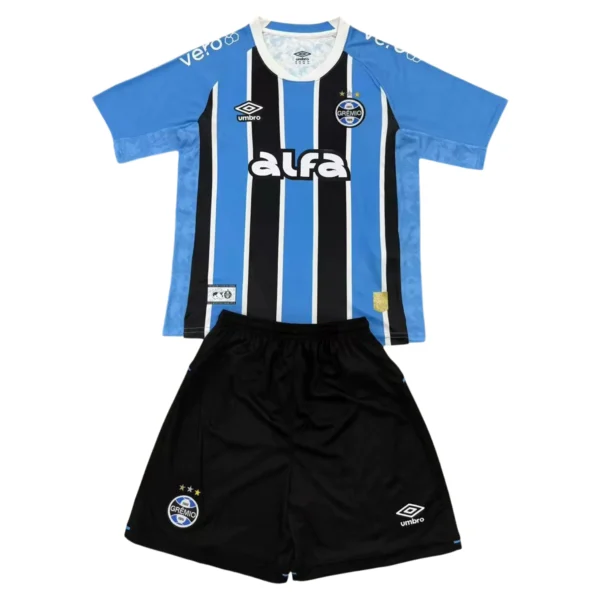 65693a (182) 25/26 Gremio Home Set