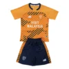 65693a (807) 25/26 Kids Cardiff City Third Set