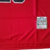 NBA Chicago Bulls Jordan #23 Jersey