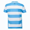 Football Jersey with Blue and White Stripes Blue and white striped football jersey for sports and team uniforms.